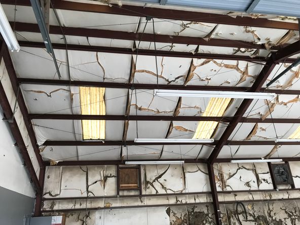 Former Auto Glass Repair Shop For Sale!: 819 S Spring Garden Ave, Deland, FL 32720